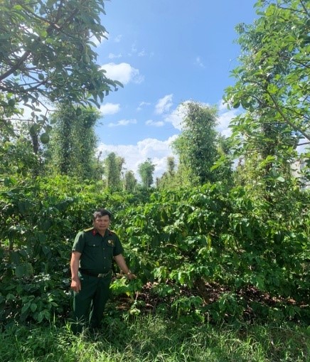 HIỆU QUẢ TỪ NGUỒN VỐN VAY NGÂN HÀNG CHÍNH SÁCH XÃ HỘI Ở THỊ TRẤN BUÔN TRẤP