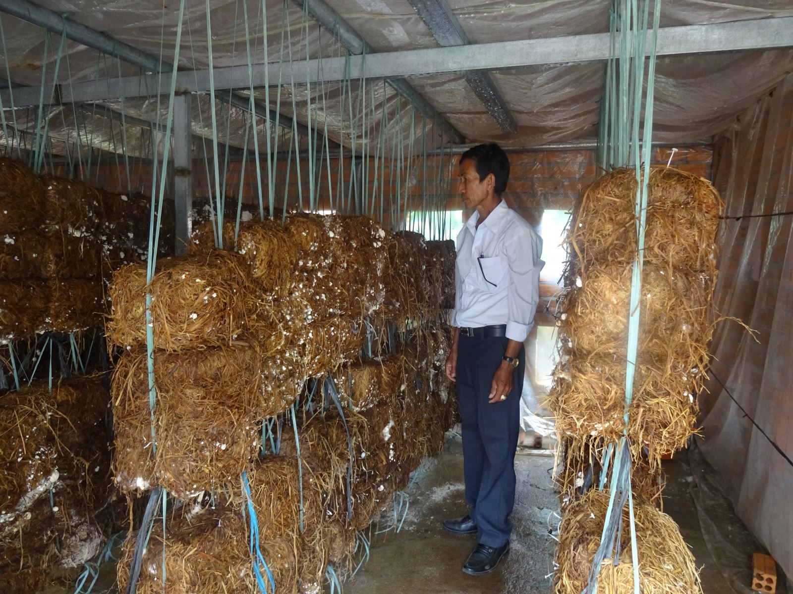 Chủ tịch Hội Nông dân xã Quảng Điền, gương làm kinh tế giỏi