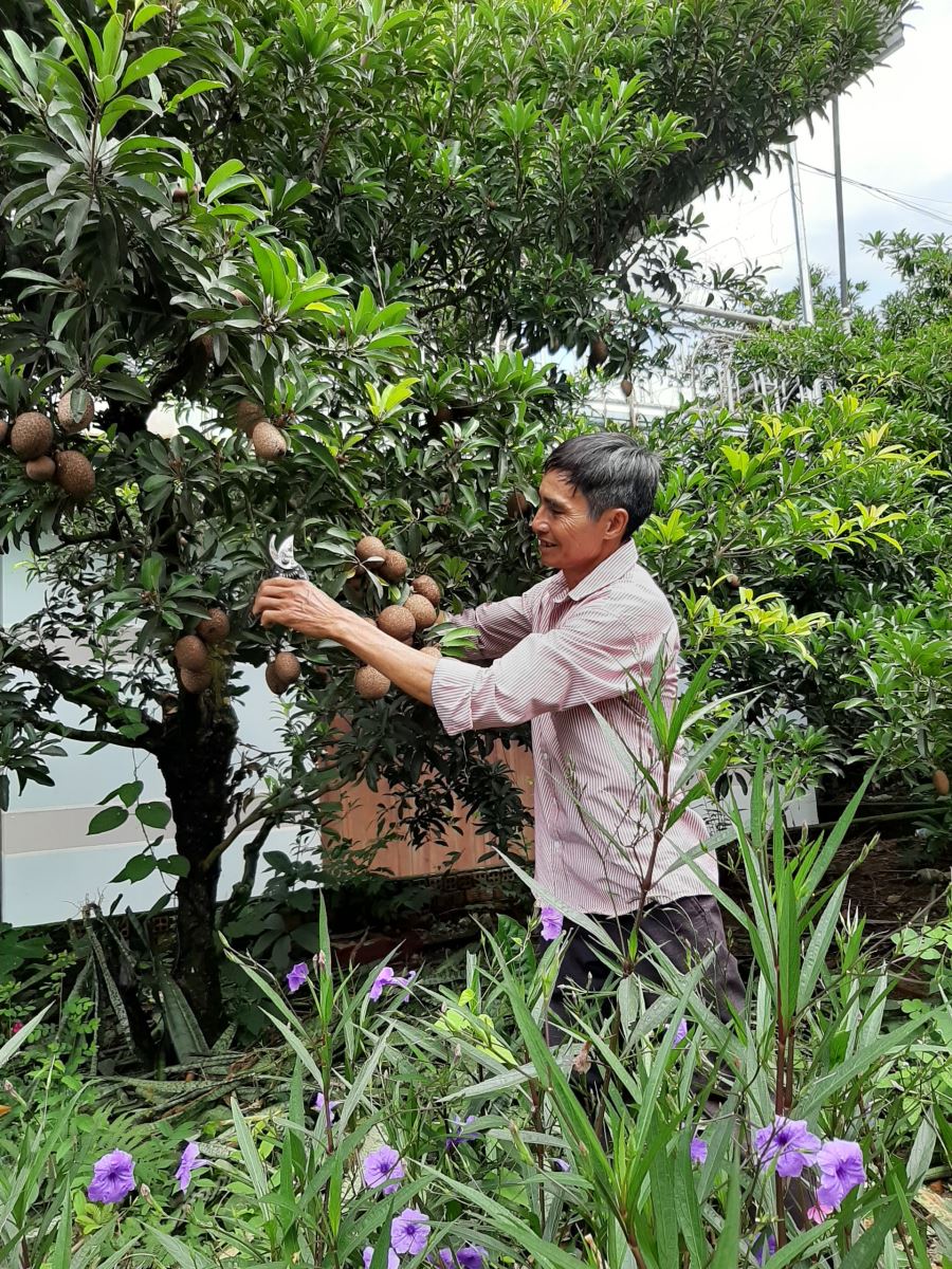 Chi hội trưởng Chi hội Cựu Chiến binh thôn Sơn Trà, xã Bình Hòa làm kinh tế giỏi, nhiệt tình trong công tác Hội