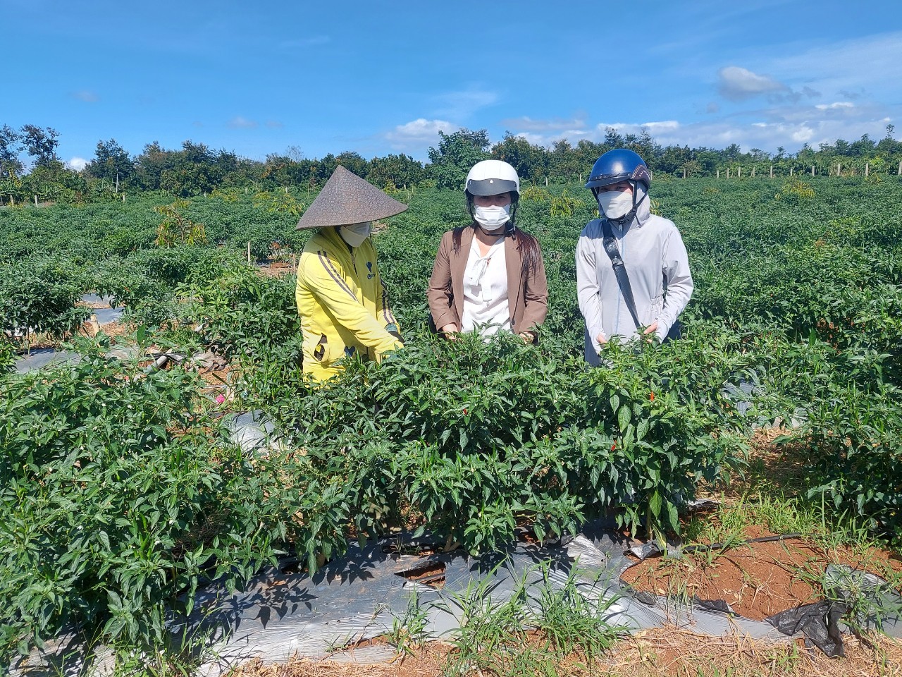 Làm giàu từ mô hình kinh tế tổng hợp