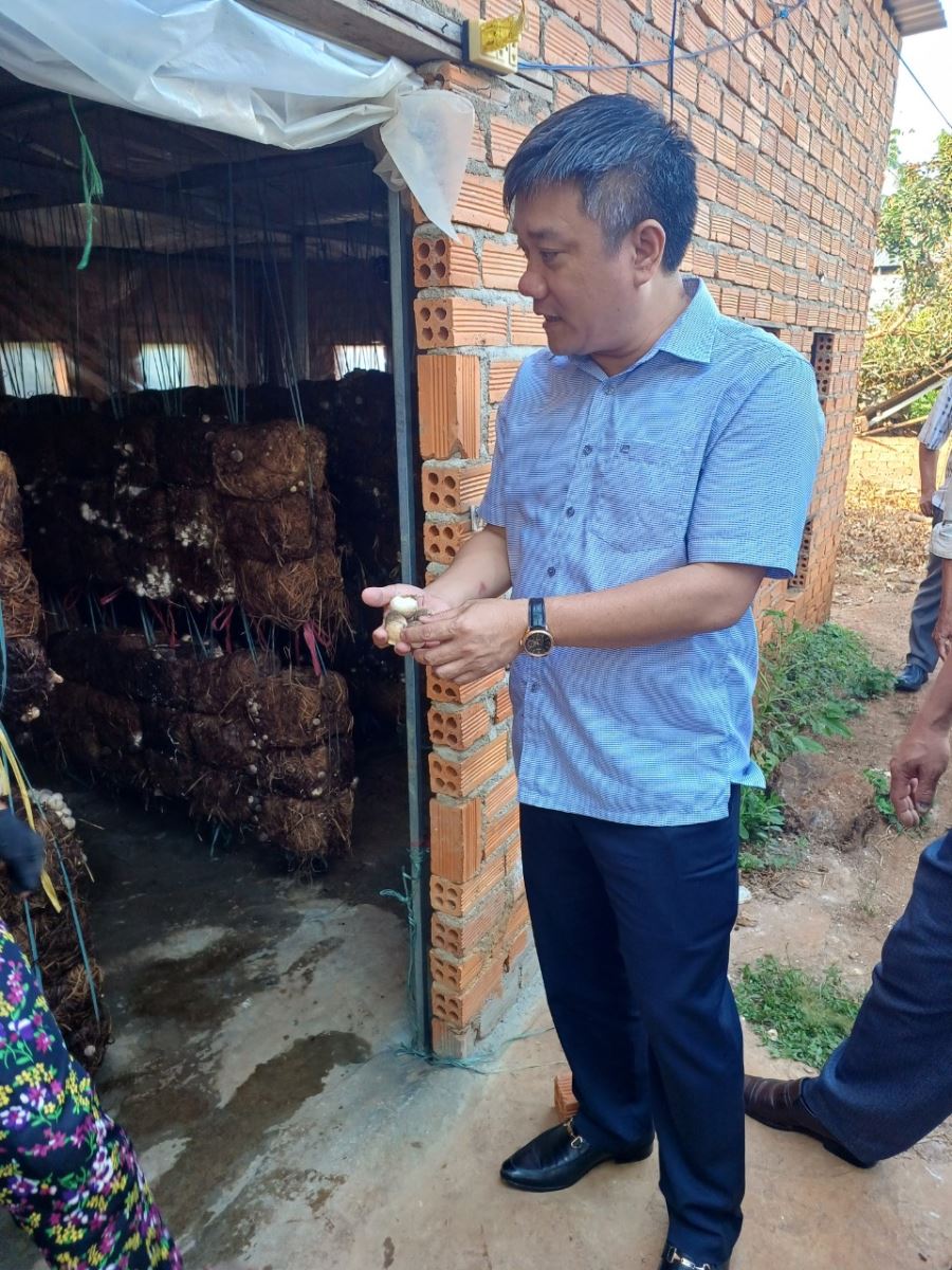 LÃNH ĐẠO UBND HUYỆN THĂM CÁC MÔ HÌNH PHÁT TRIỂN  KINH TẾ TẠI XÃ QUẢNG ĐIỀN