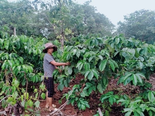 gương điển hình phụ nữ làm kinh tế giỏi