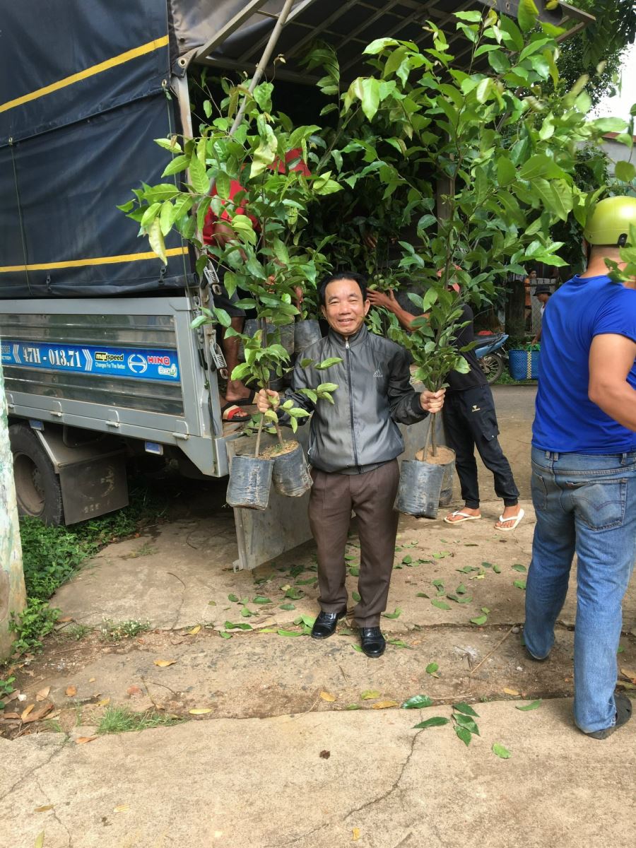 Triển khai công tác hỗ trợ trồng cây phân tán trên  địa bàn huyện Krông Ana