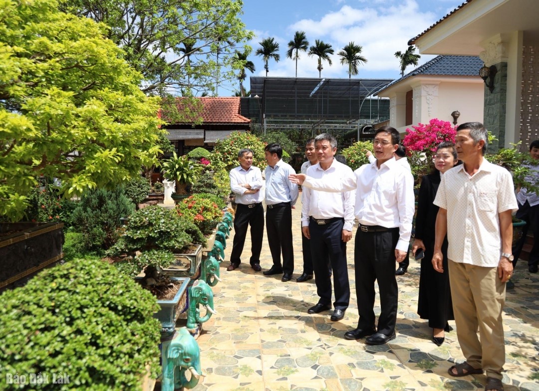 Bí thư Tỉnh ủy Nguyễn Đình Trung thăm mô hình lan tại huyện Krông Ana